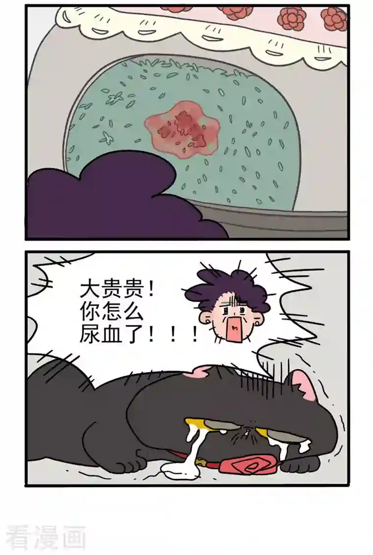 阿满和麦茶第16话2 住院的理由