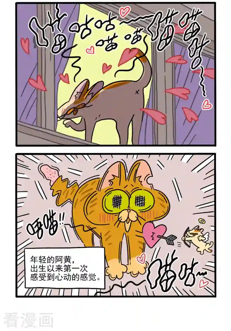 阿满和麦茶番外1 阿黄的初恋