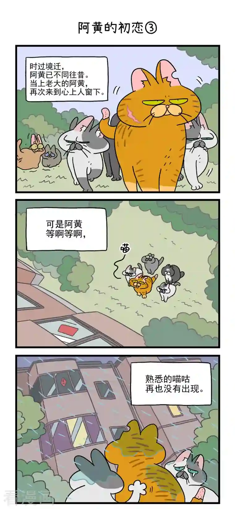 阿满和麦茶番外1 阿黄的初恋