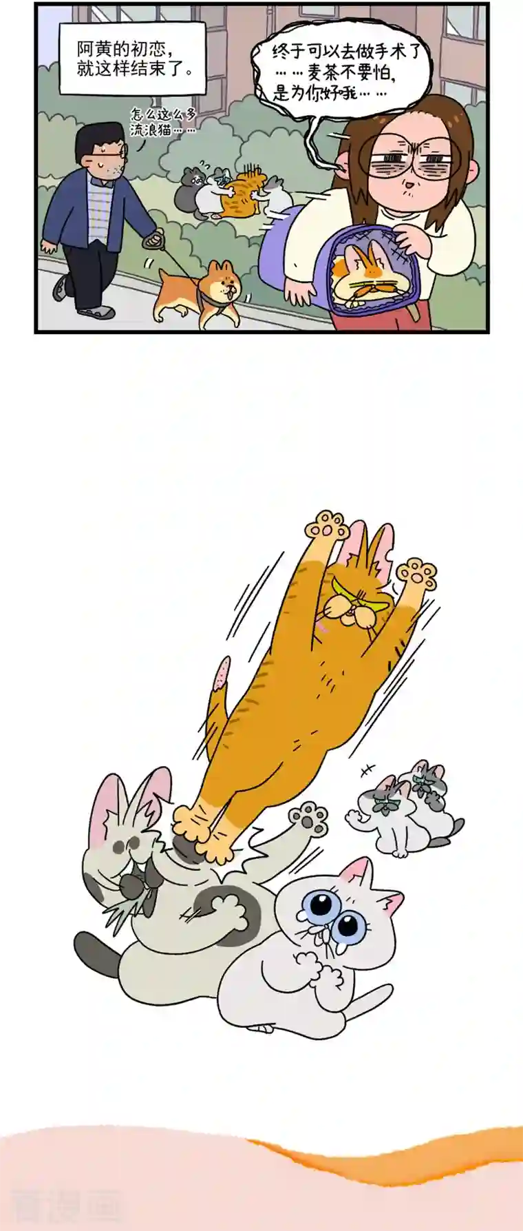 阿满和麦茶番外1 阿黄的初恋