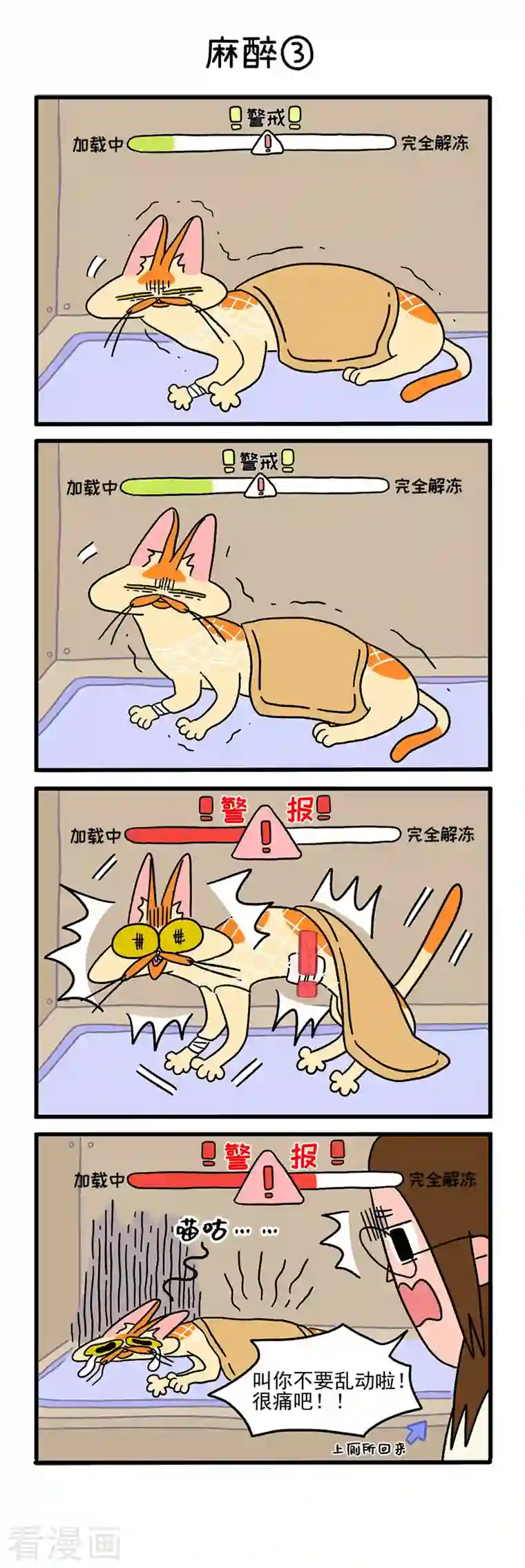 阿满和麦茶第17话 麻醉