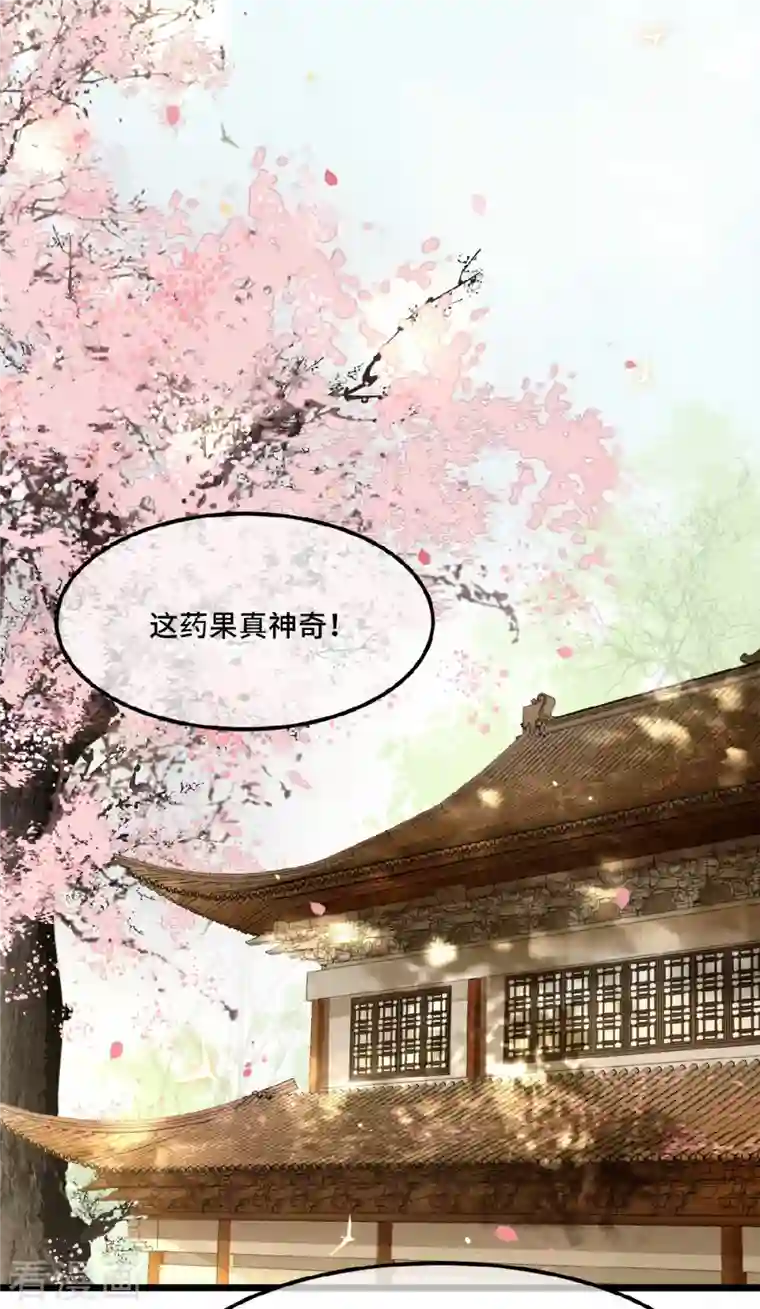 凤凰于飞第15话 你想杀我？！