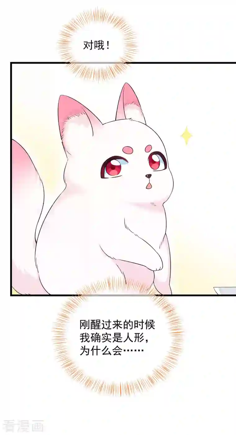 狐妃，别惹火2第2话 未婚夫