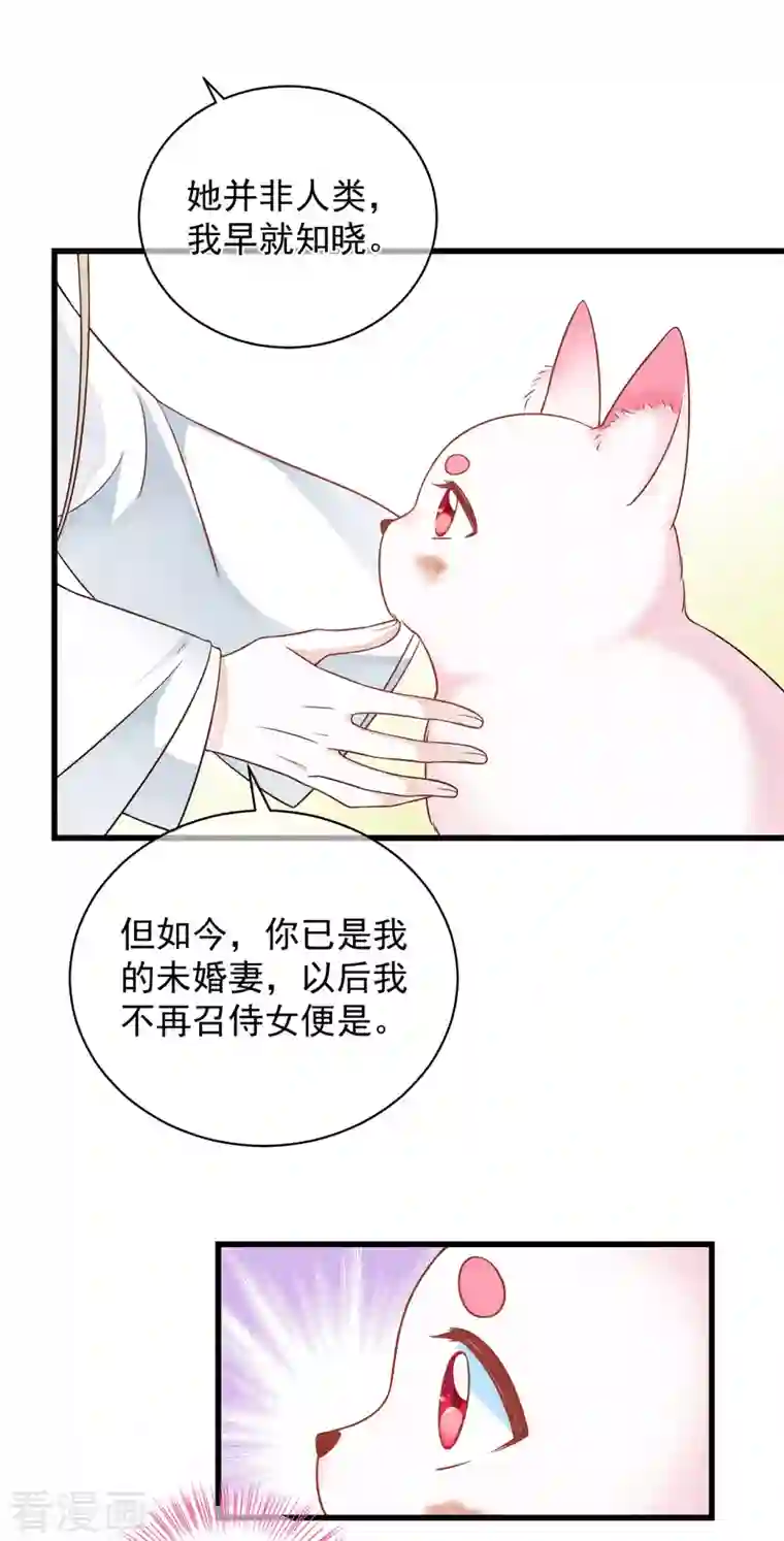 狐妃，别惹火2第2话 未婚夫