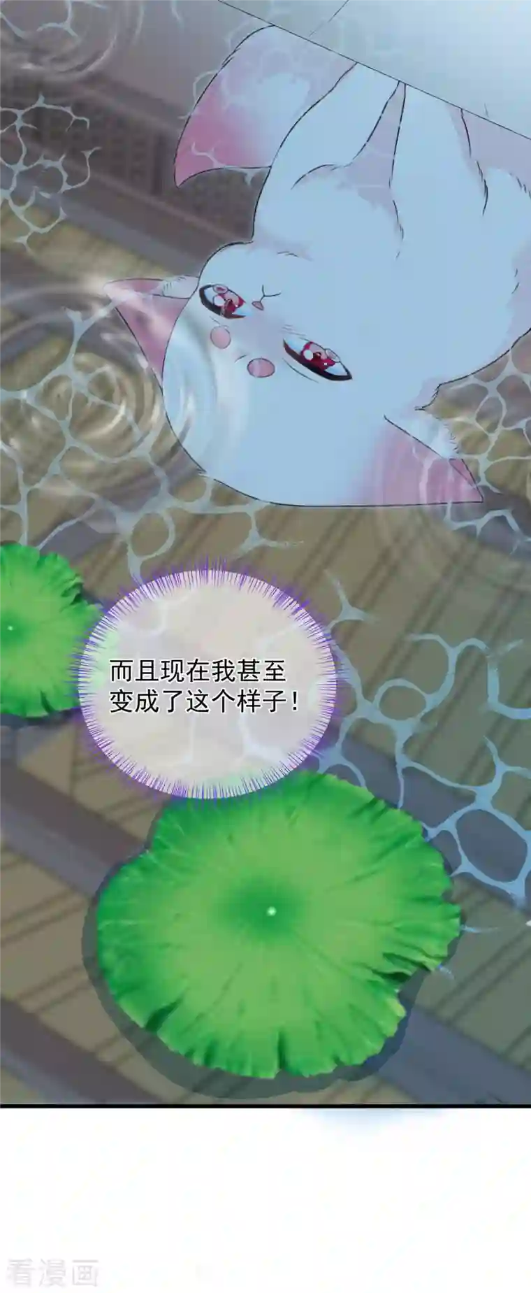 狐妃，别惹火2第2话 未婚夫