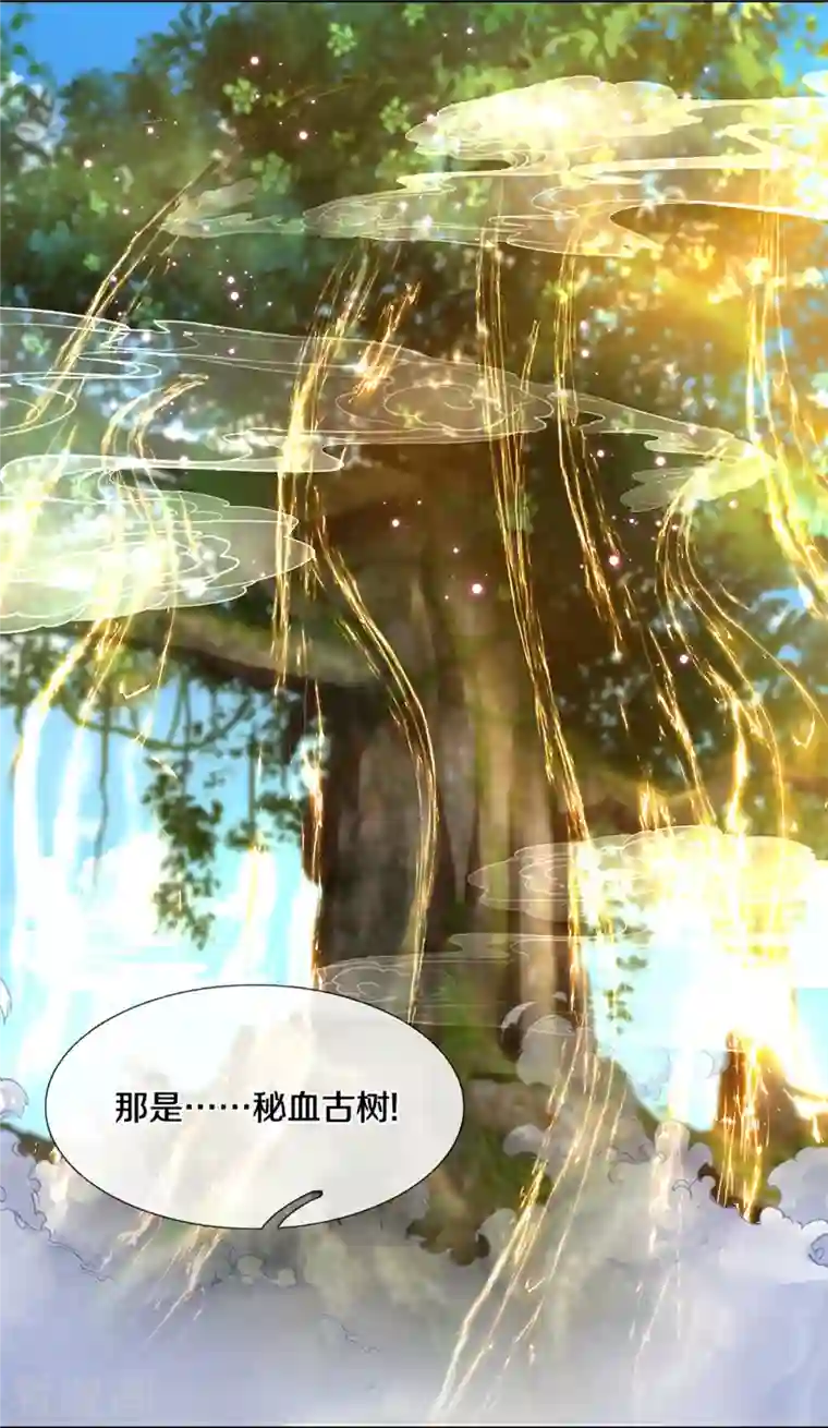 修罗剑尊第233话 福地or死地