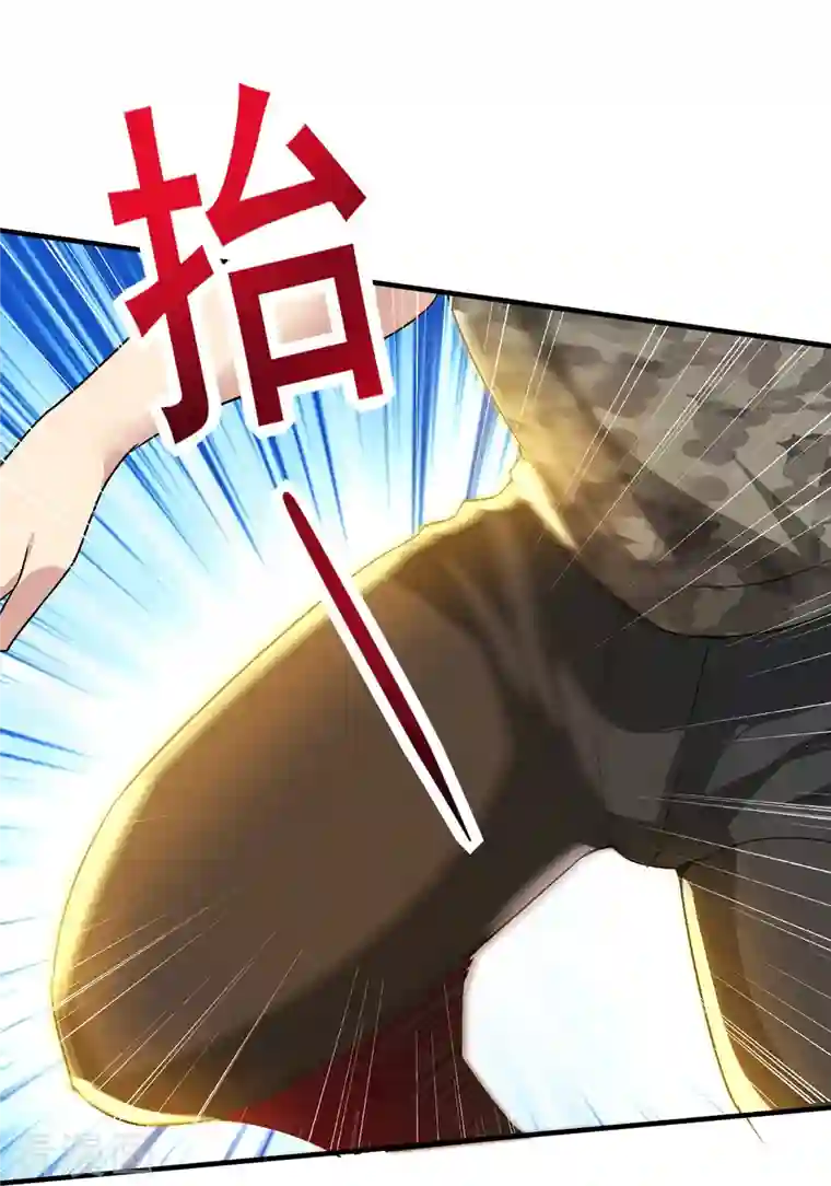 医武至尊第319话 神龙守护者