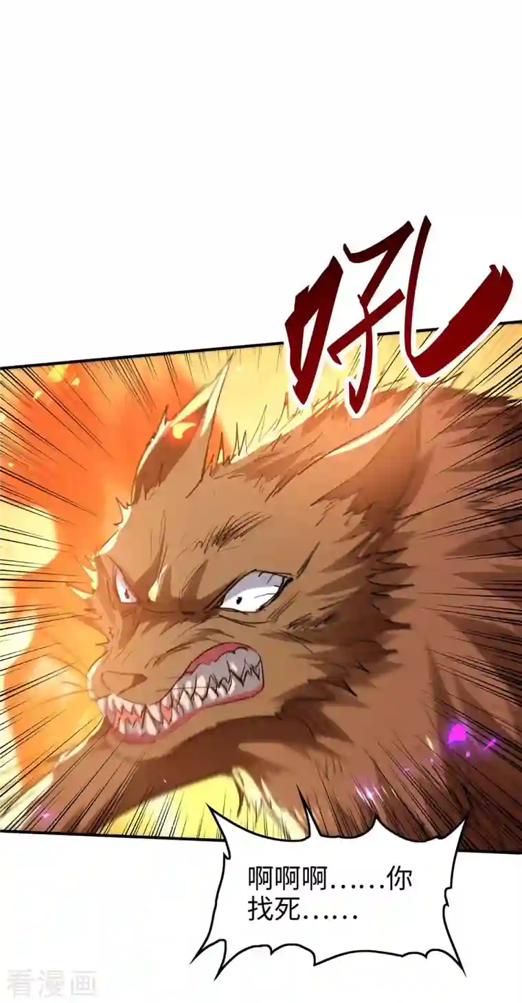 仙帝归来第227话 愚蠢的信徒