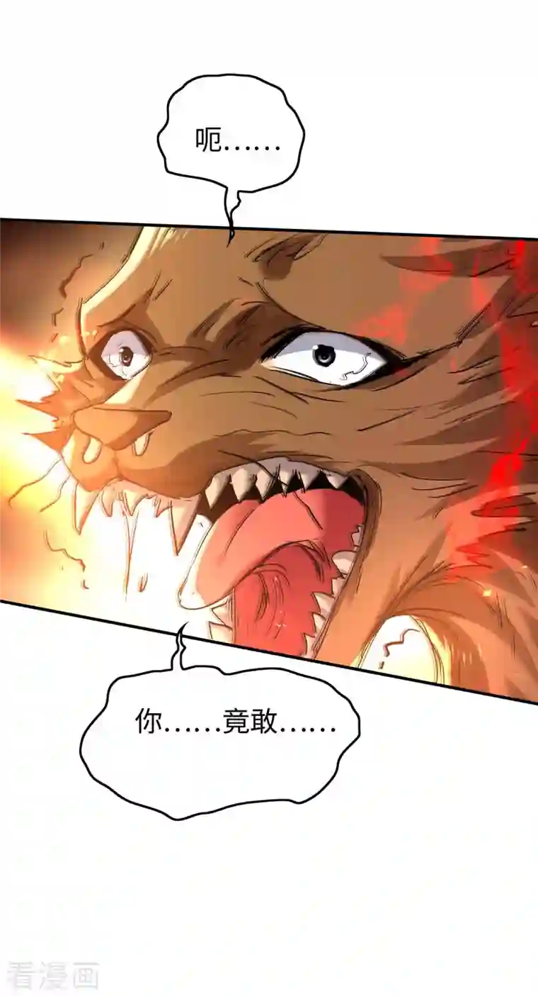 仙帝归来第227话 愚蠢的信徒