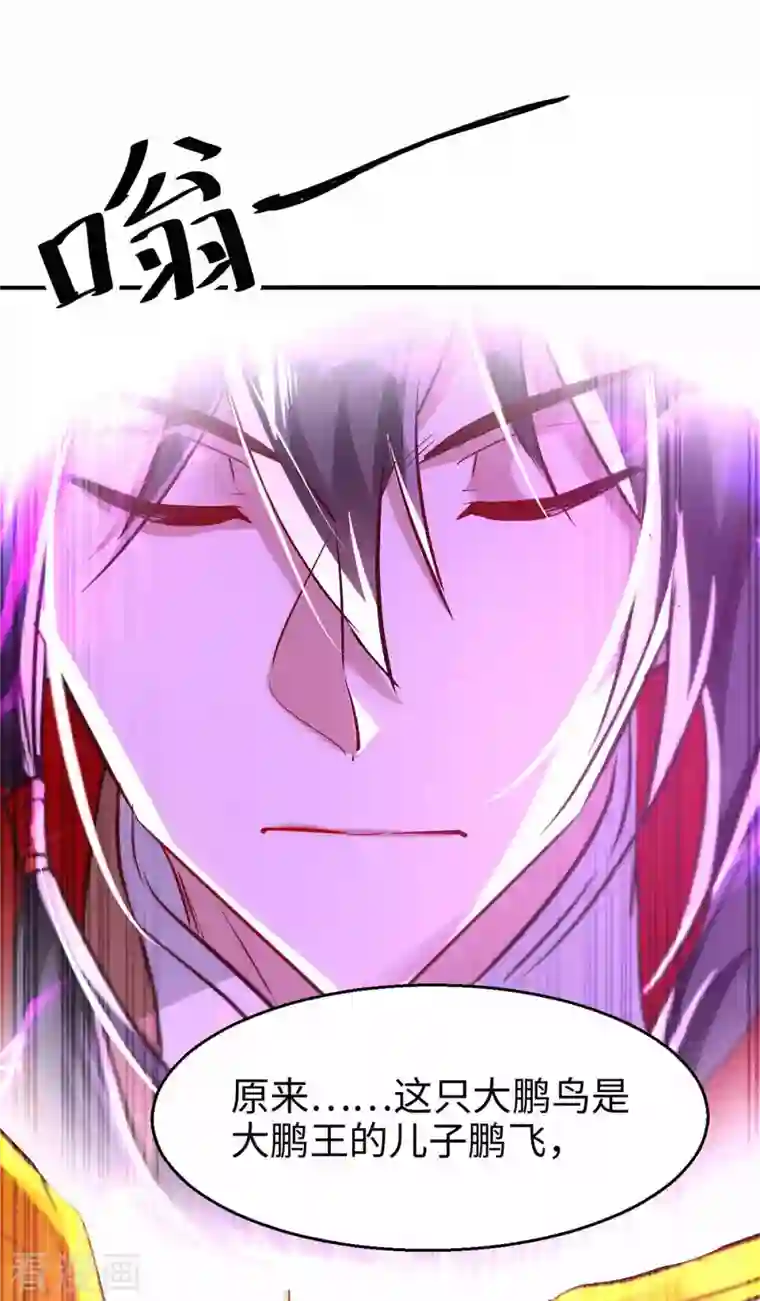 仙帝归来第229话 孔雀蛋
