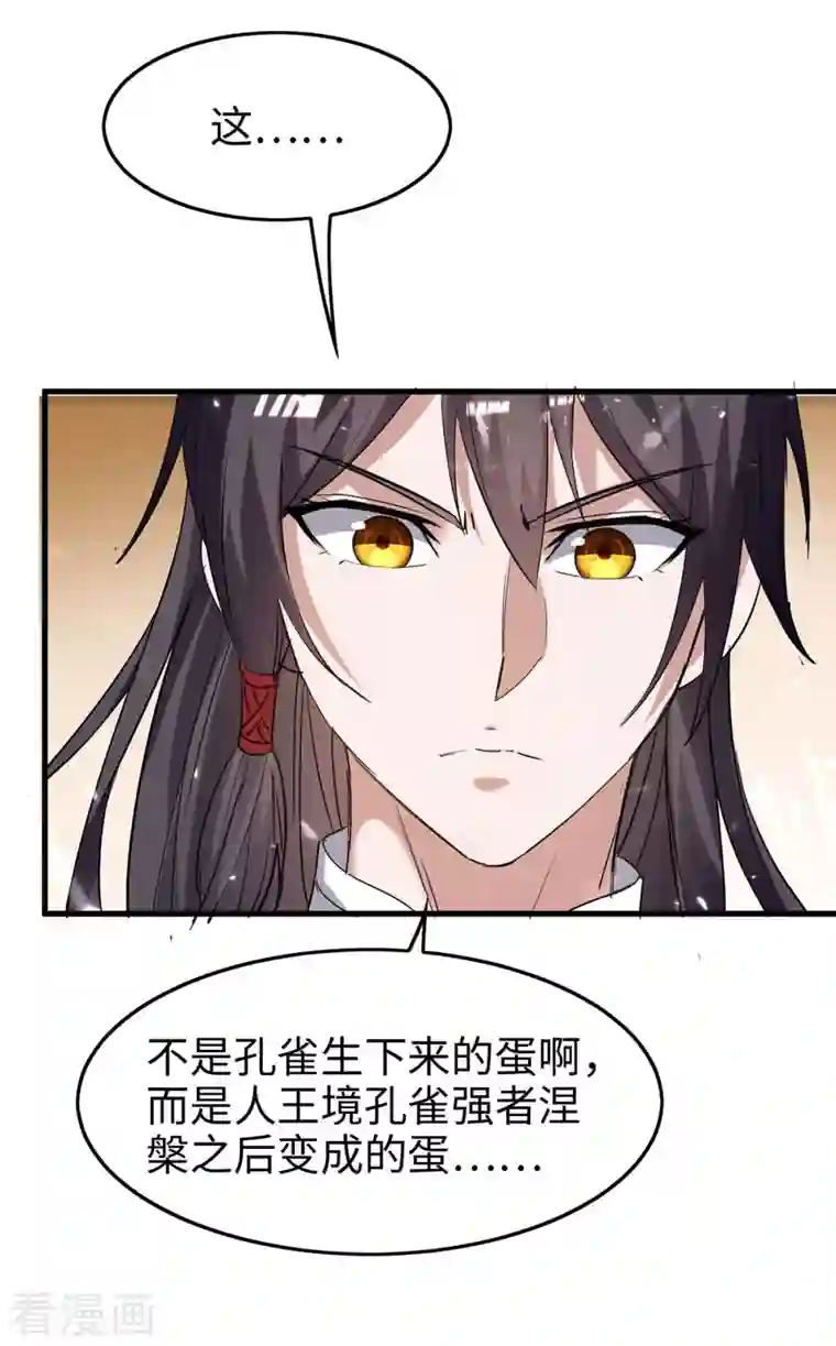 仙帝归来第230话 破壳