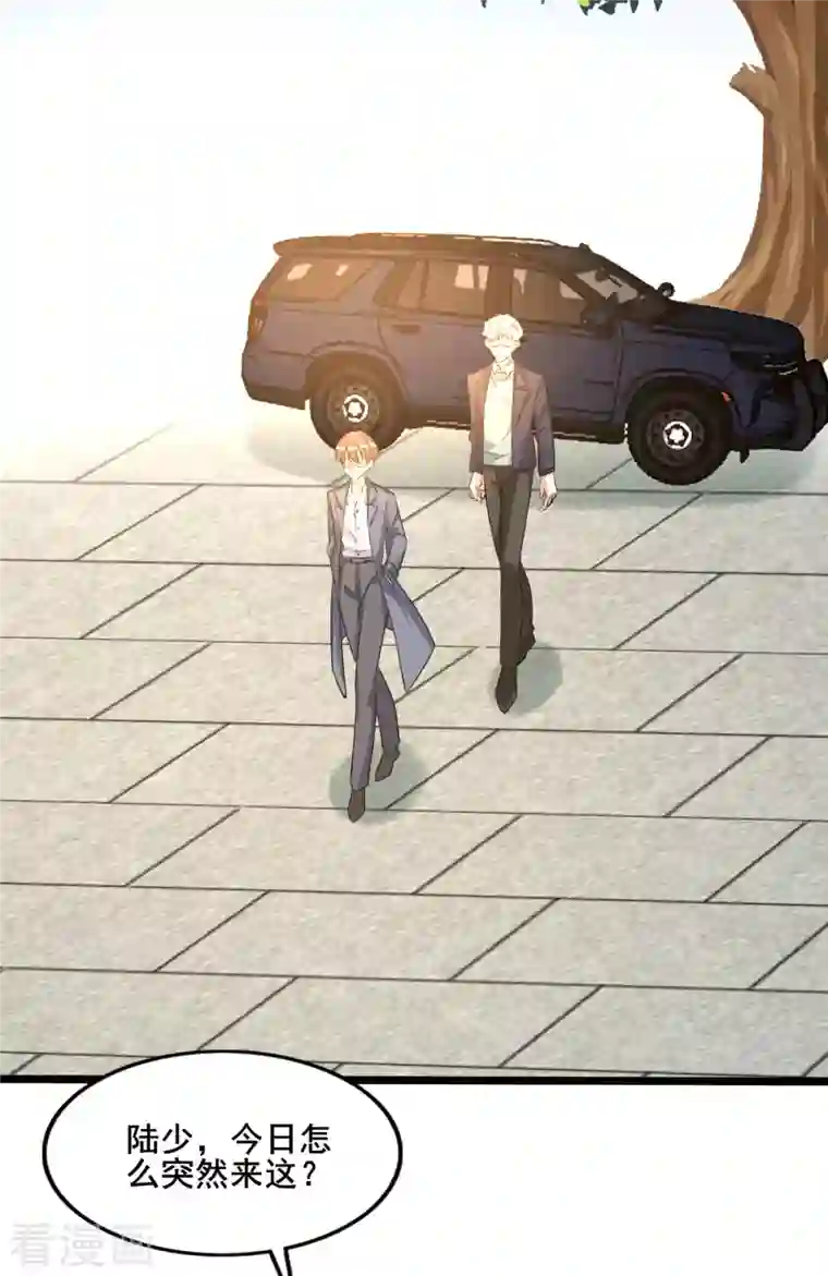 纯情陆少第255话 解决唐纳德