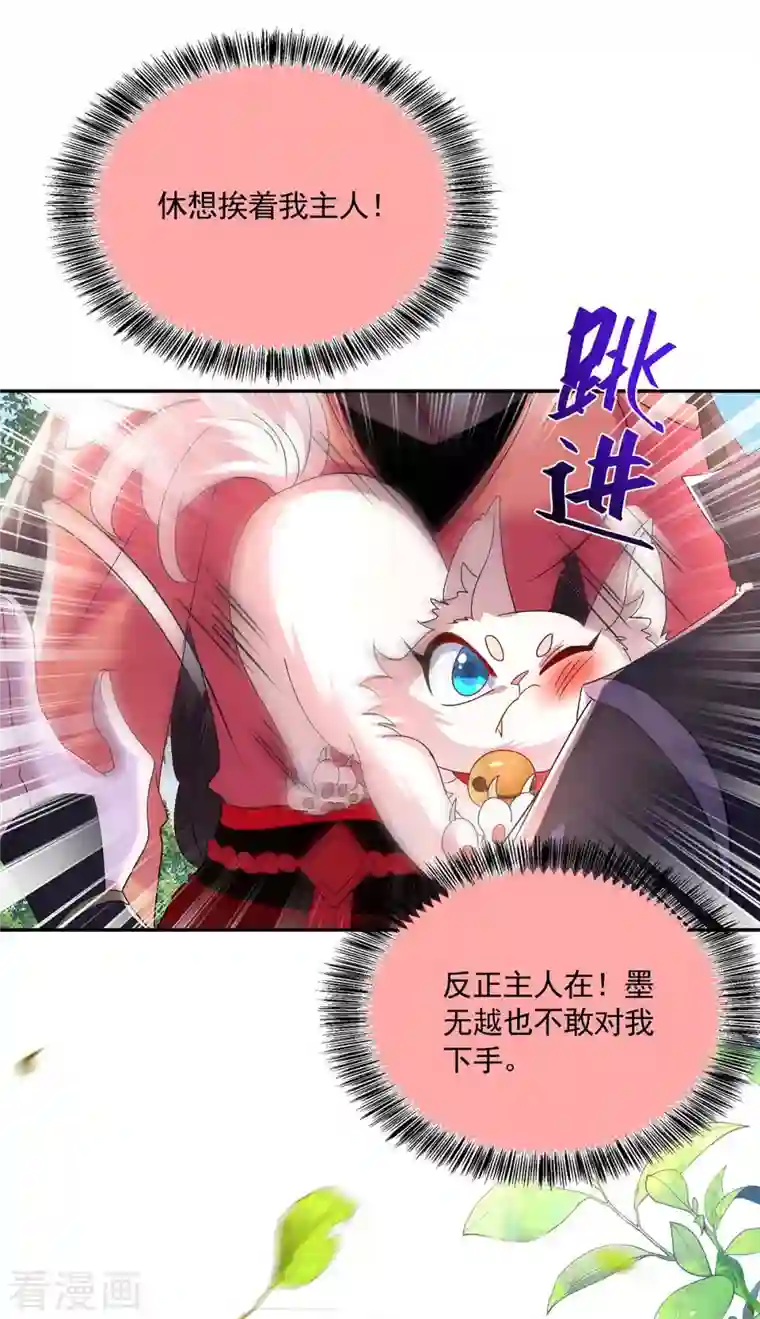 我在异界养男神：神医九小姐第117话 去报仇