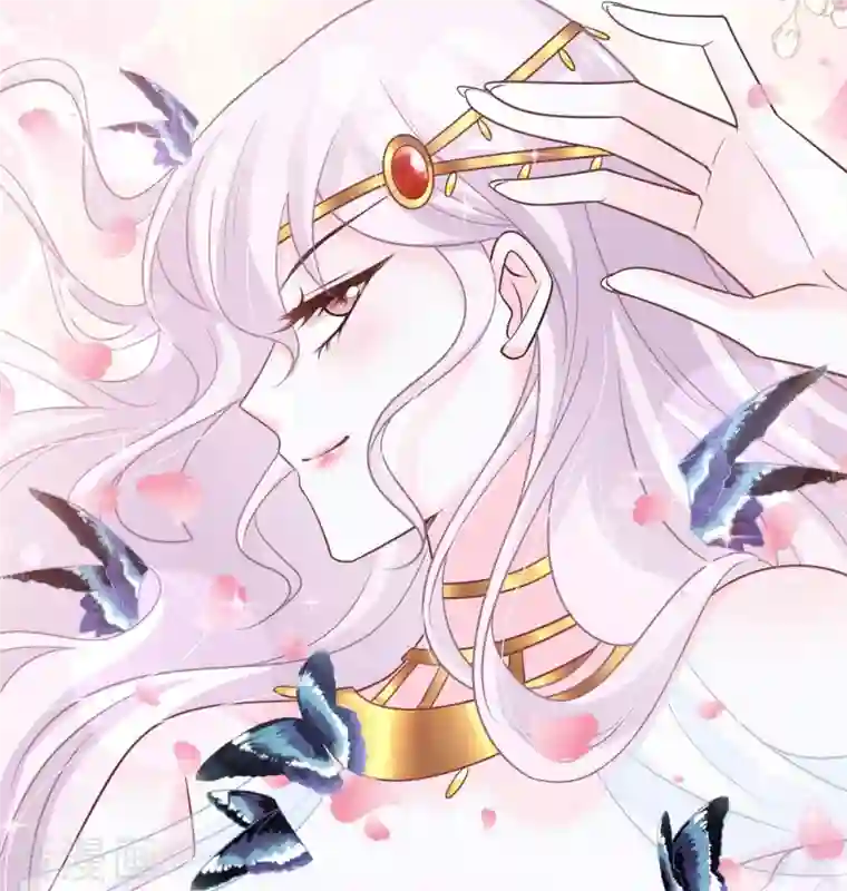 天下第一宠第216话 今夜只有你和我