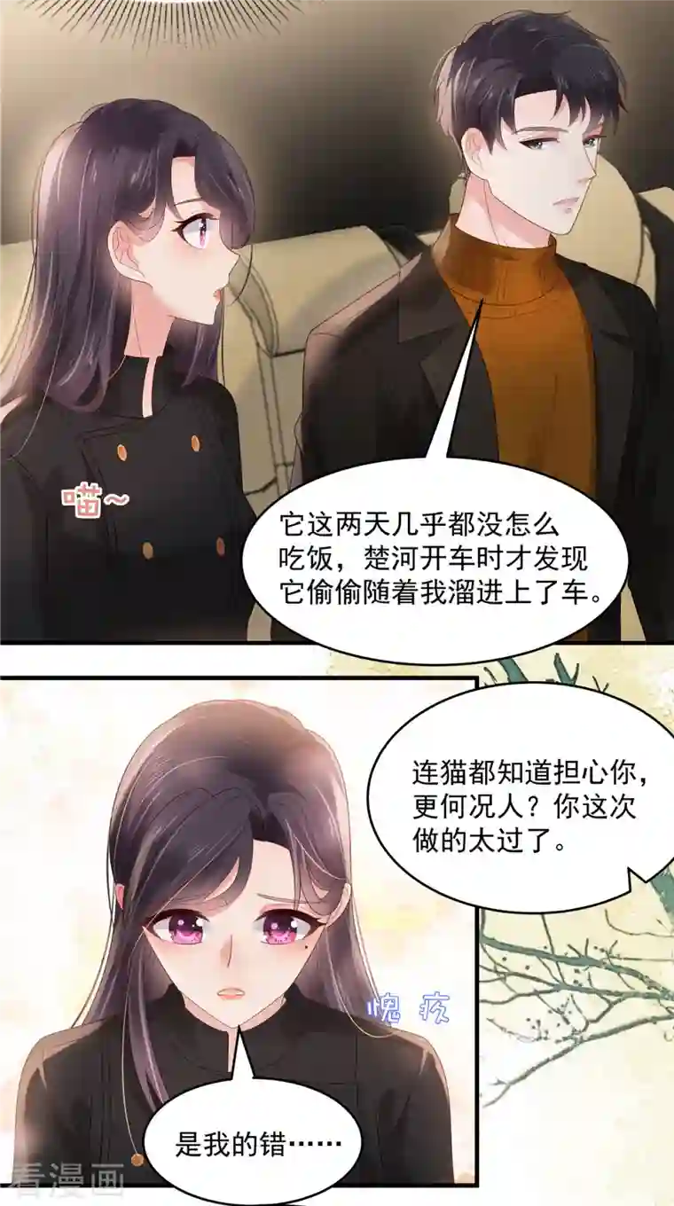 重生相逢：给你我的独家宠溺第116话 是我的错