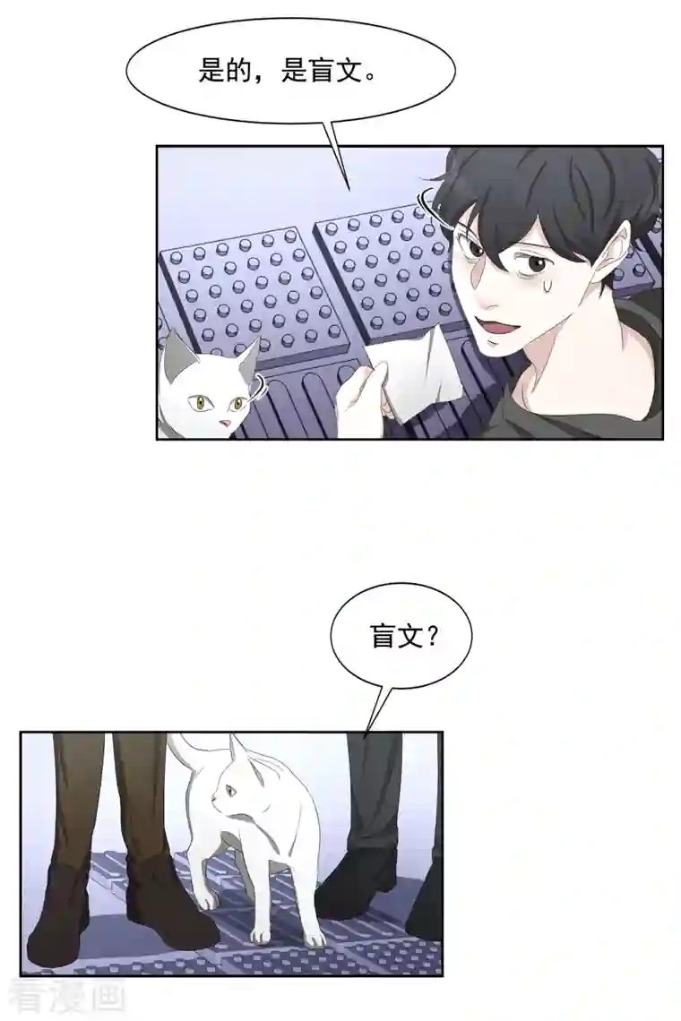 影子侦探第45话 被害人侄子瞒下的秘密