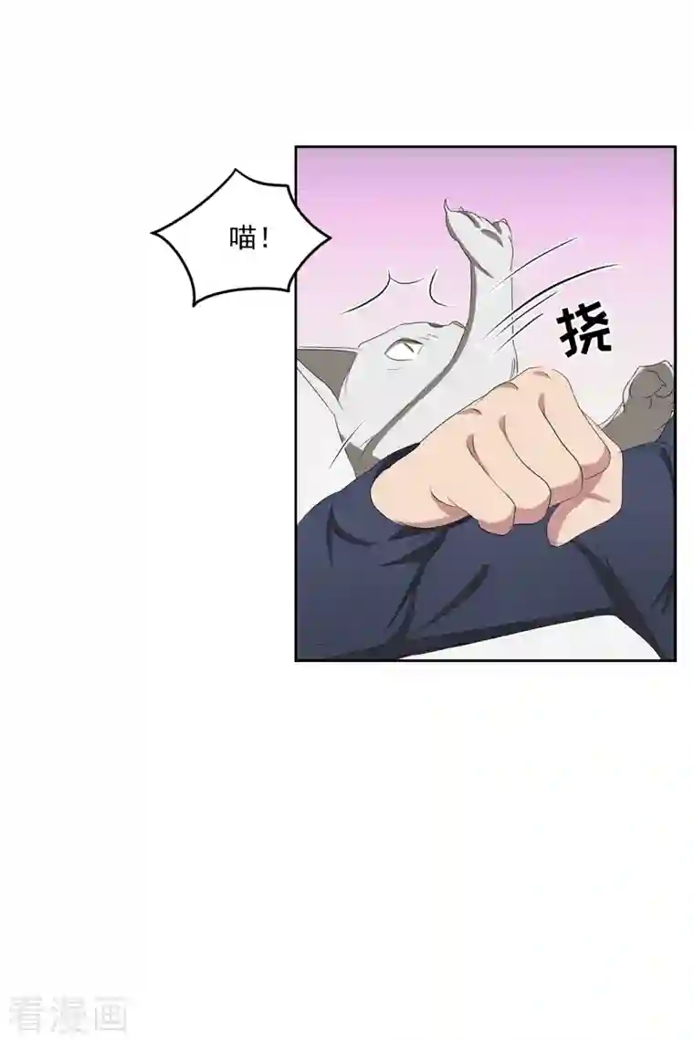 影子侦探第45话 被害人侄子瞒下的秘密