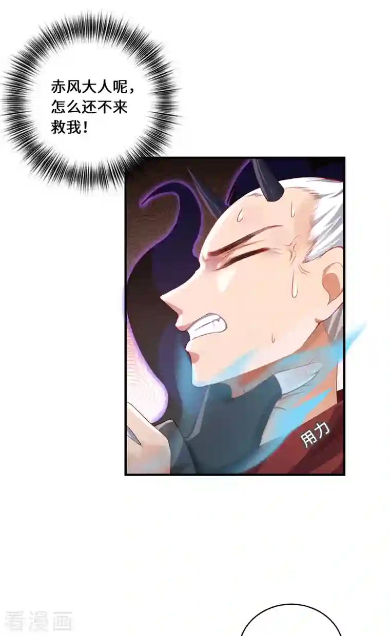 吾本是猫第10话 黄雀在后