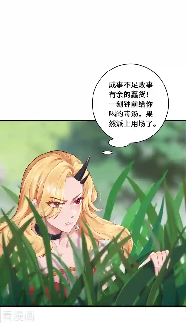 吾本是猫第11话 新的危机