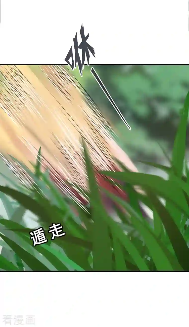 吾本是猫第11话 新的危机