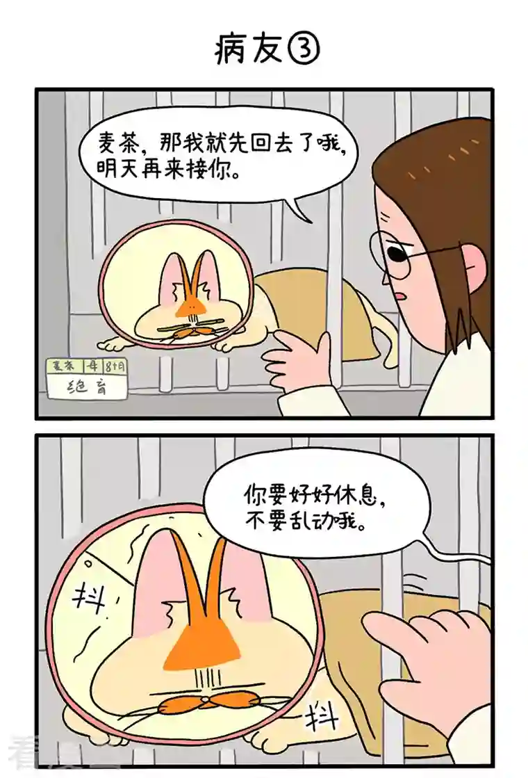 阿满和麦茶第18话1 病友