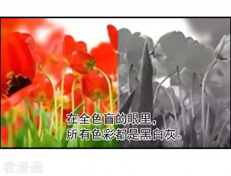 科技大仙宗第17话 用科学打败魔法！