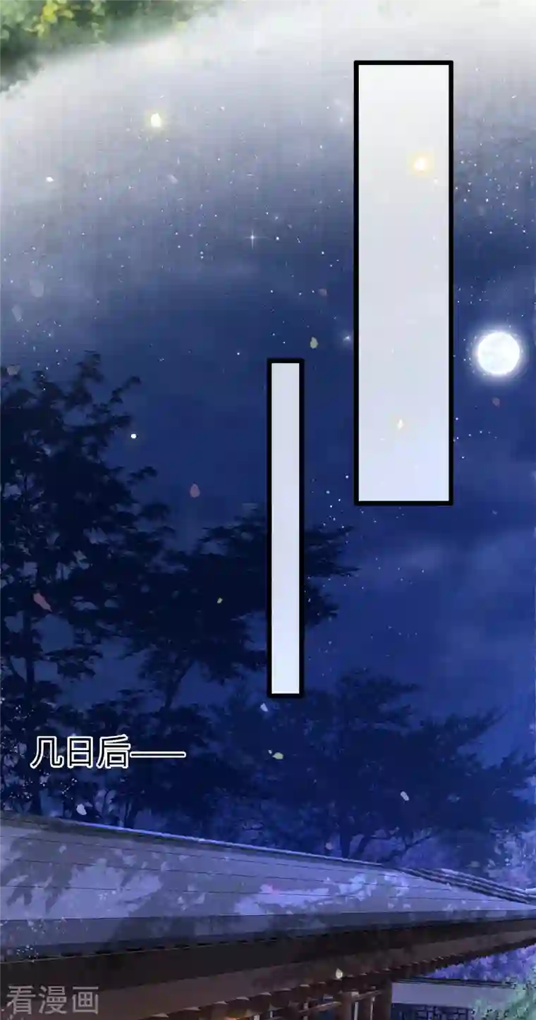 凤凰于飞第33话 你要杀我？