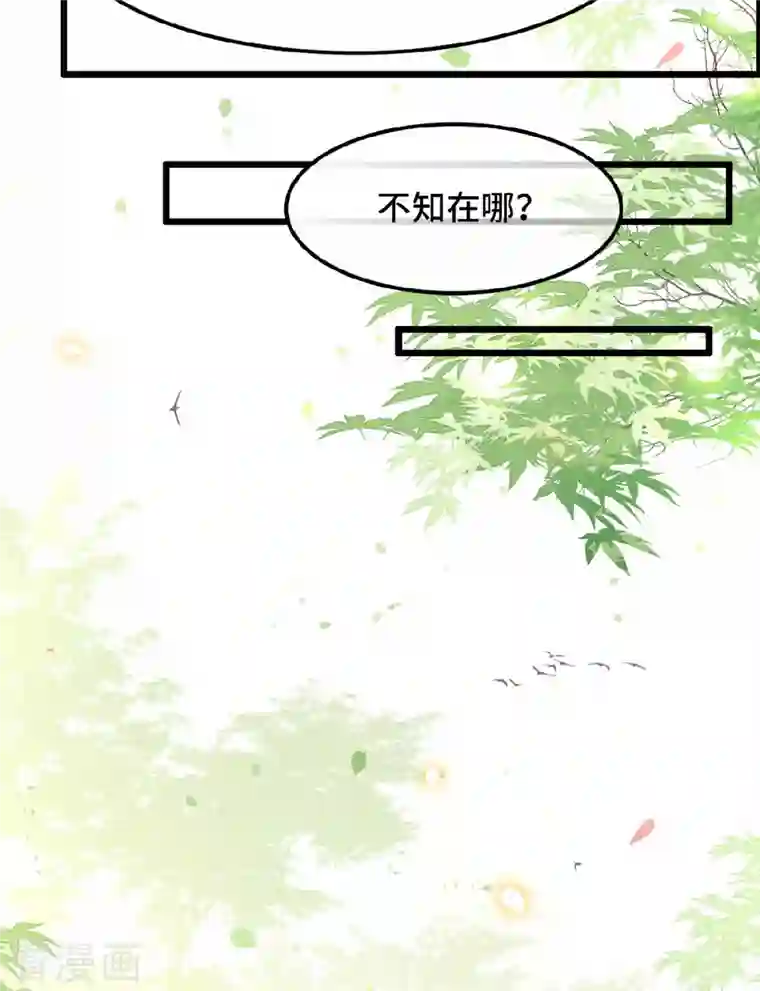 凤凰于飞第36话 敢动我的人？