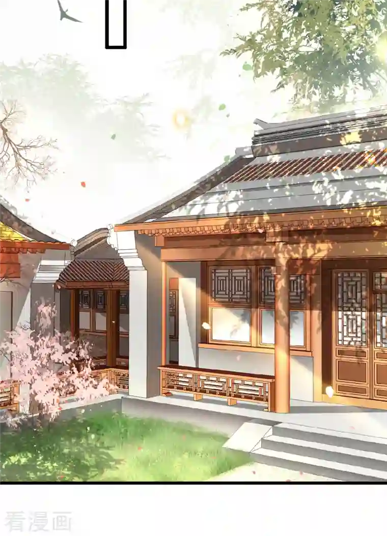 凤凰于飞第37话 以为我动不了你？