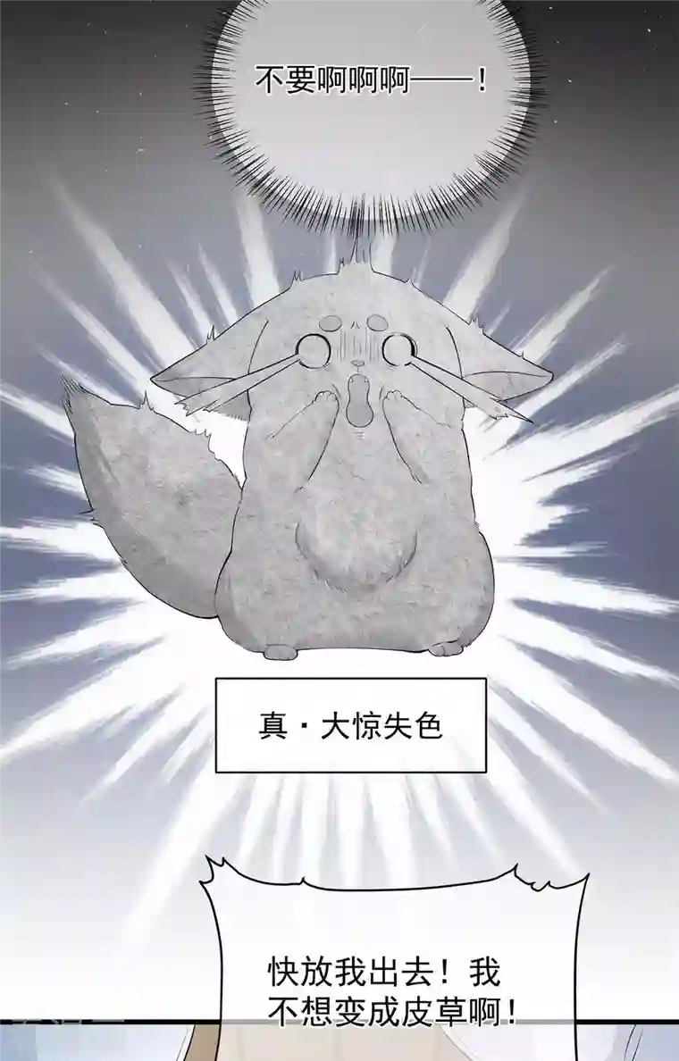 狐妃，别惹火2第4话 骗局