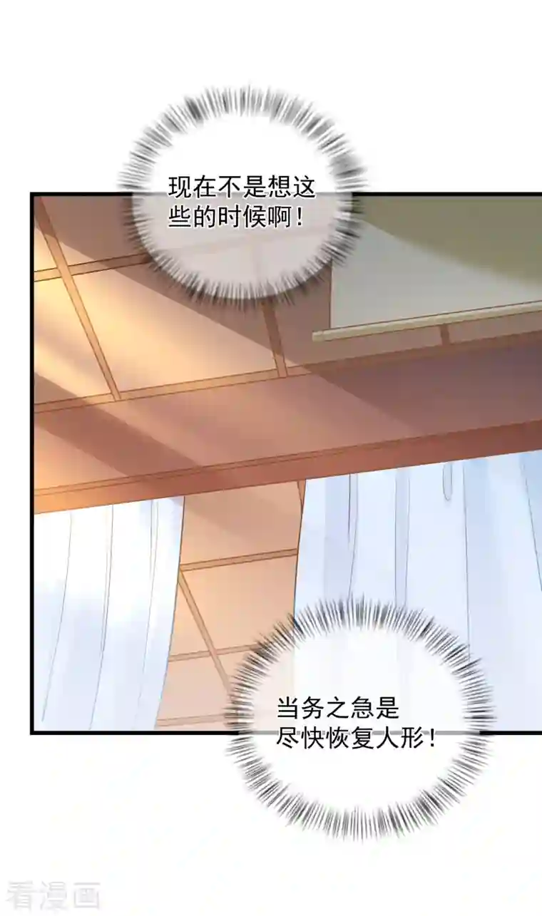 狐妃，别惹火2第5话 他的私心