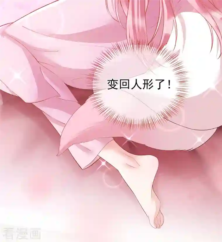 狐妃，别惹火2第5话 他的私心