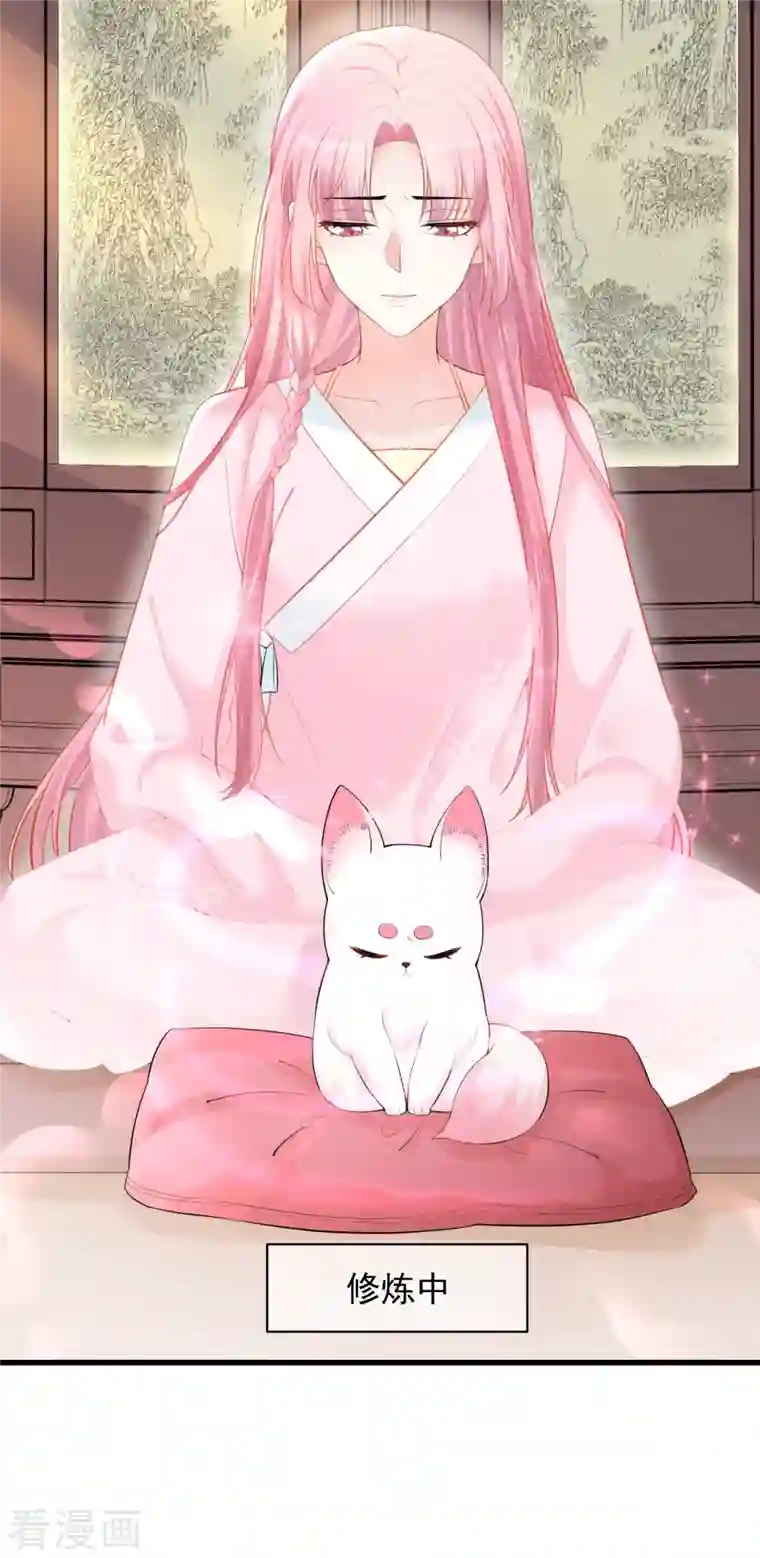 狐妃，别惹火2第5话 他的私心