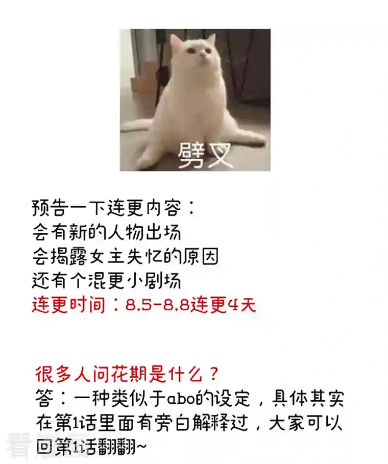 娇夫有喜第13话 花期