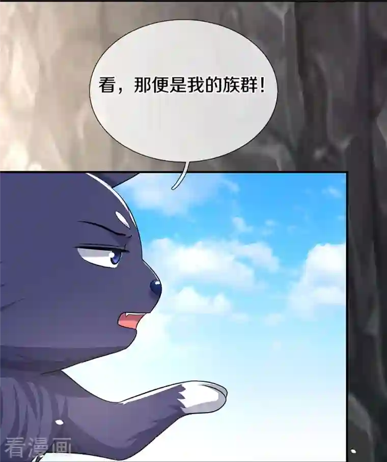 神武天尊第358话 域外存在的意义