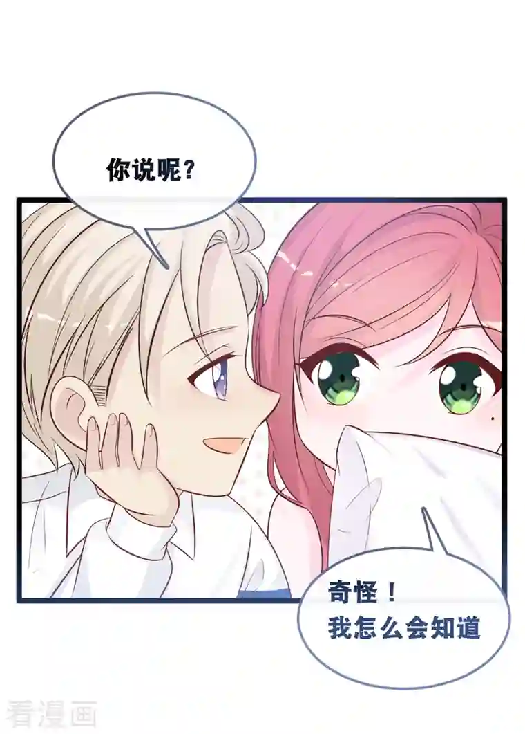 总裁爹地追上门七夕活动