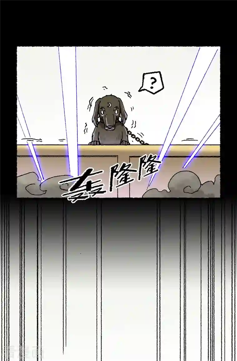 渡劫失败都怪你第67话 熊猫烧香