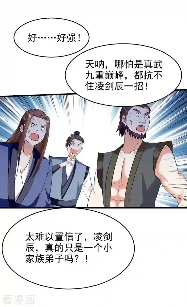 凌天神帝第203话 你的寿礼，不能浪费