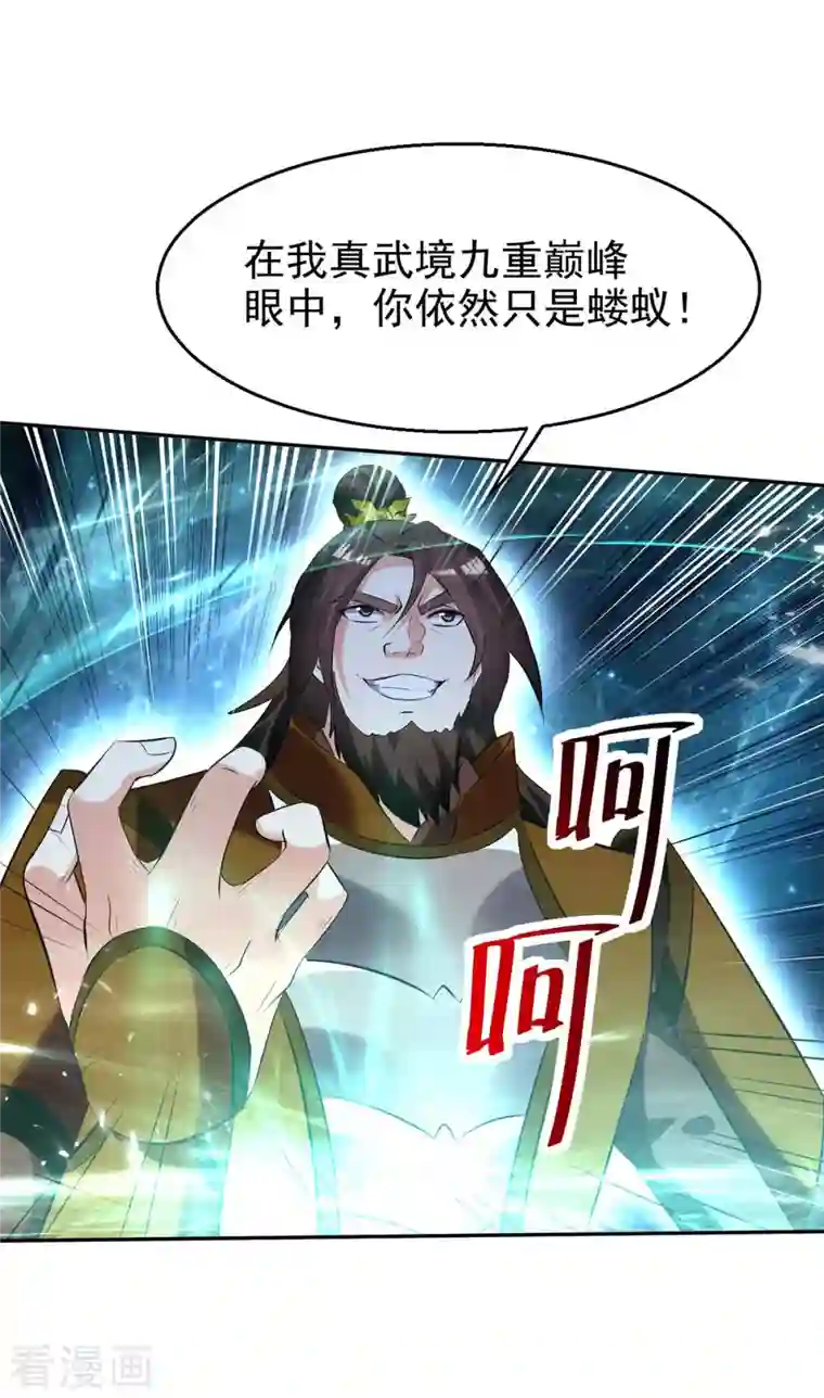 凌天神帝第203话 你的寿礼，不能浪费