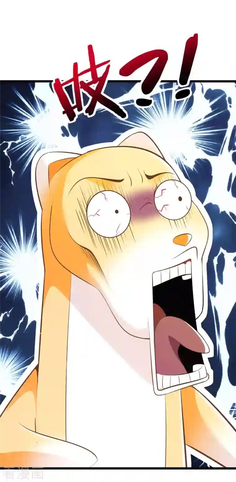 我的师傅是神仙第78话 地下墓室