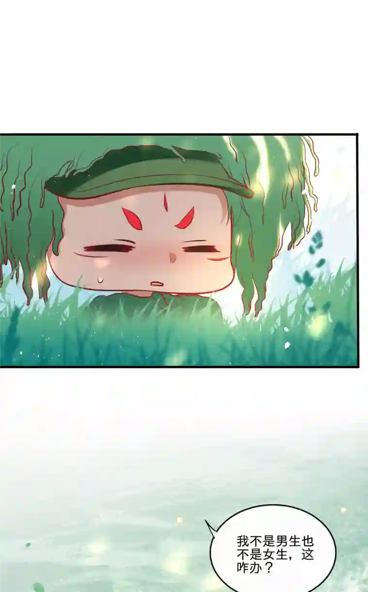 这个王妃路子野暑期小剧场