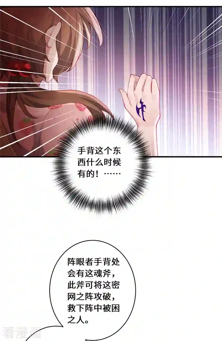 吾本是猫第12话 致命的选择