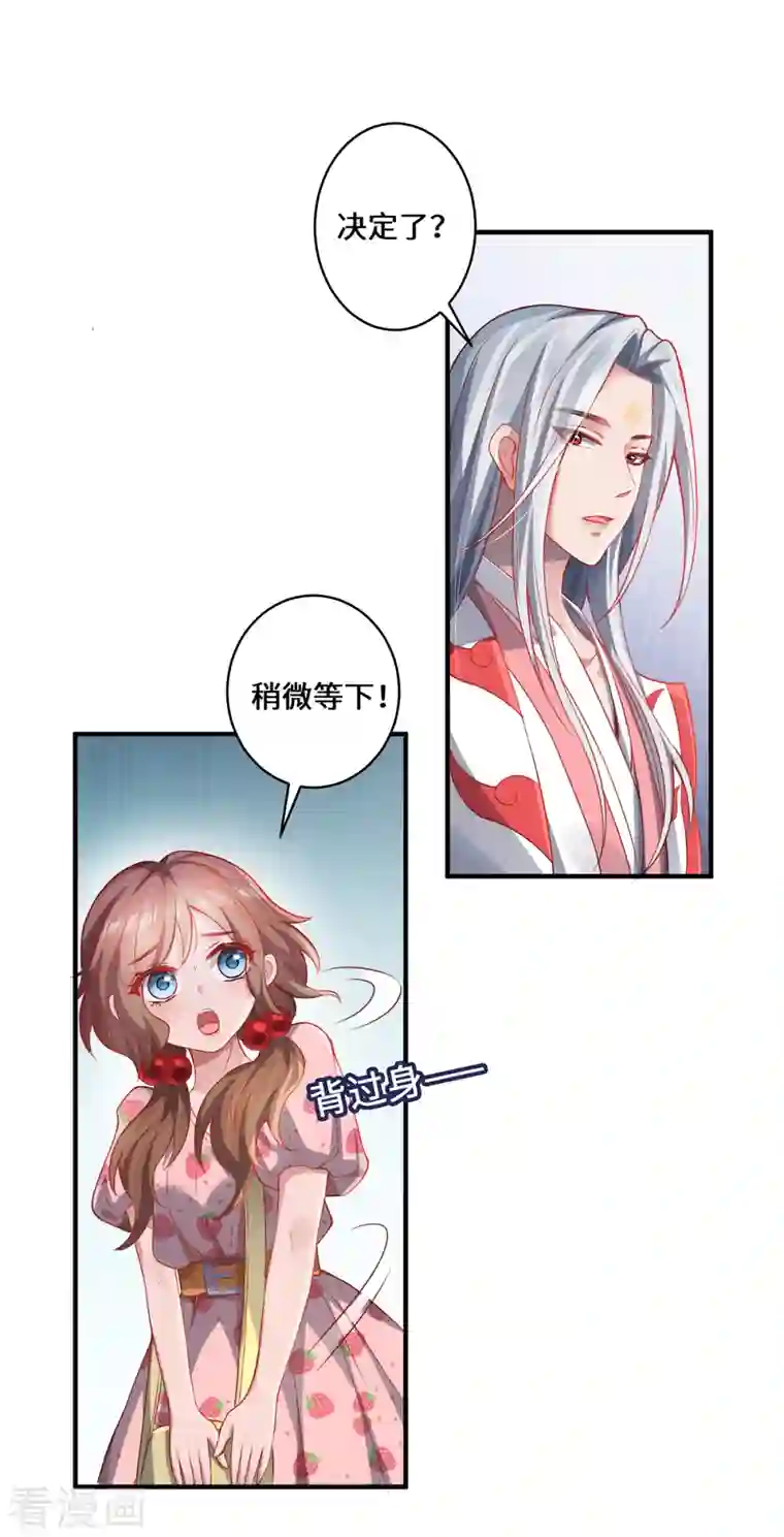 吾本是猫第12话 致命的选择