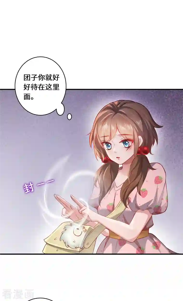 吾本是猫第12话 致命的选择