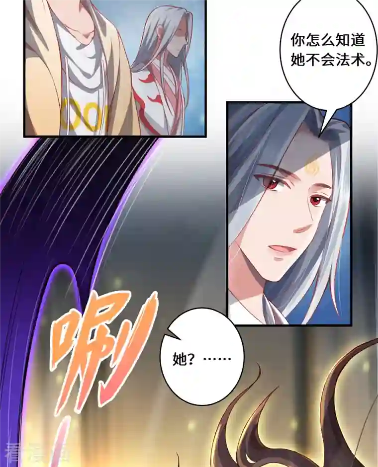 吾本是猫第12话 致命的选择