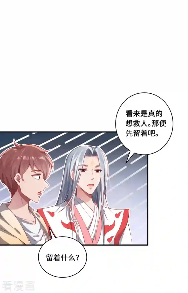 吾本是猫第12话 致命的选择