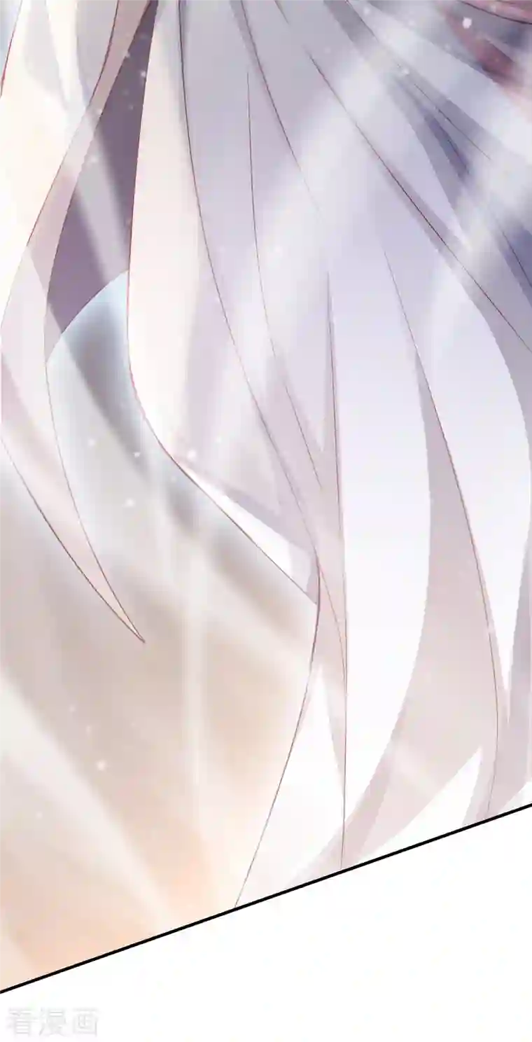 吾本是猫第12话 致命的选择