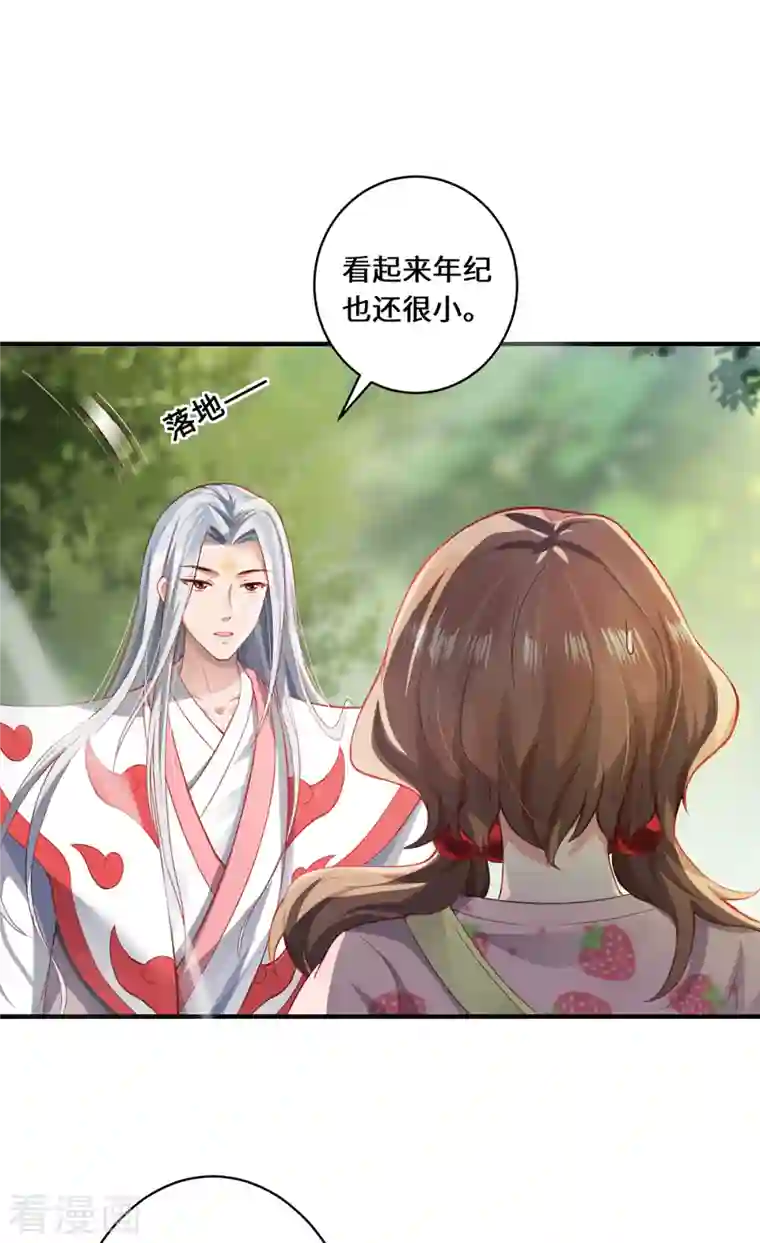 吾本是猫第12话 致命的选择