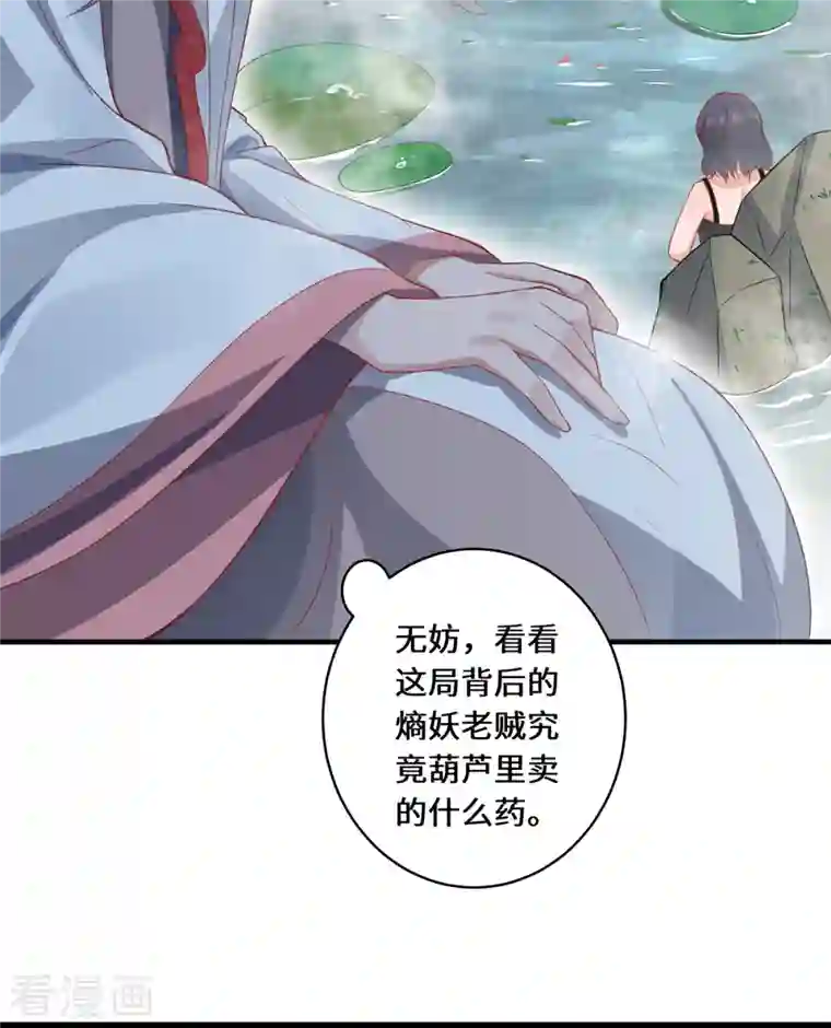 吾本是猫第13话 意外负伤