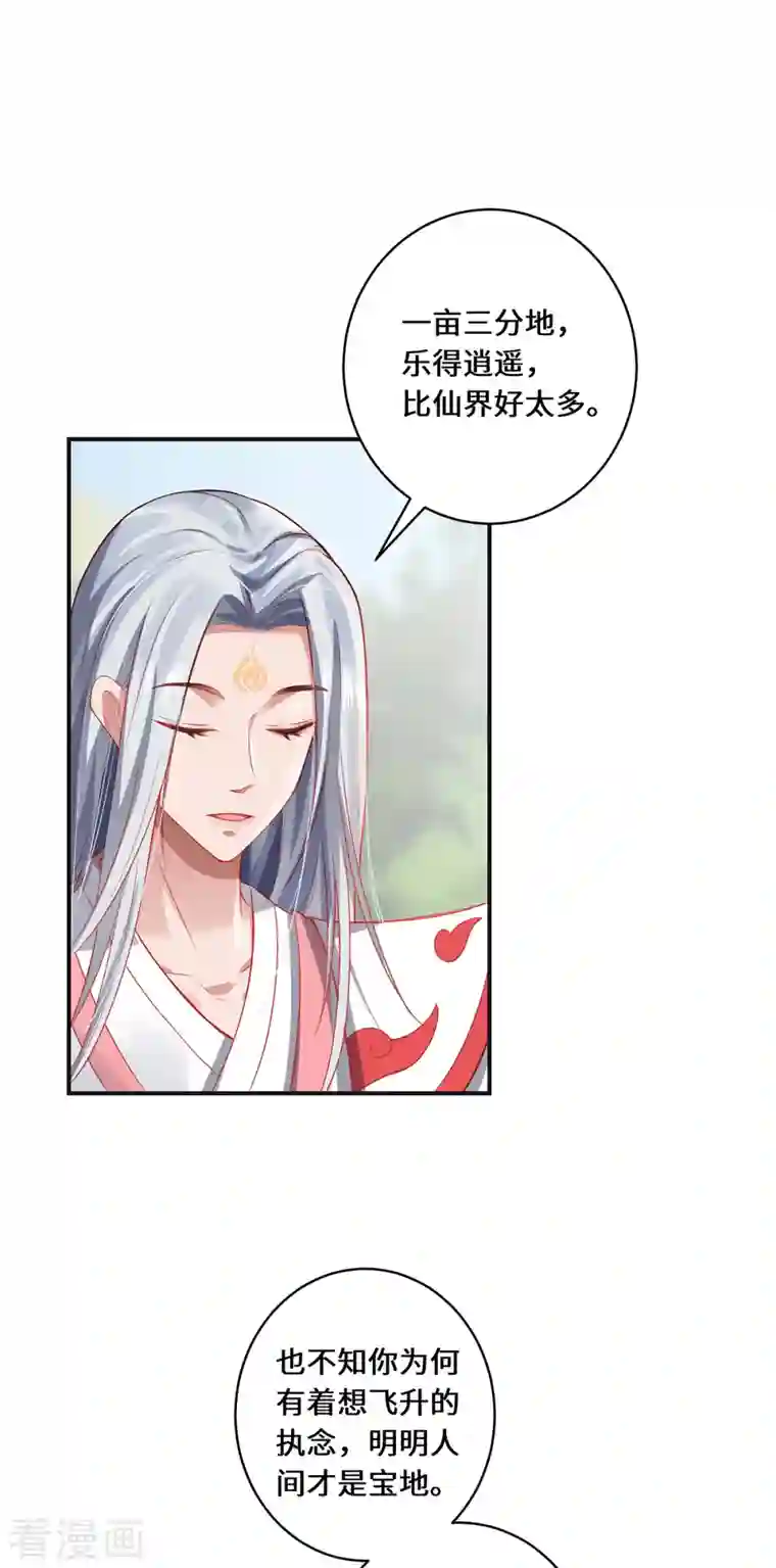 吾本是猫第13话 意外负伤